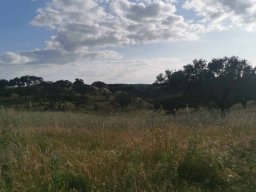 2025-02-23  THE GAME - TWO FIVE